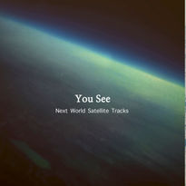 You See/*16bit44.1khz/Next World Satellite Tracks